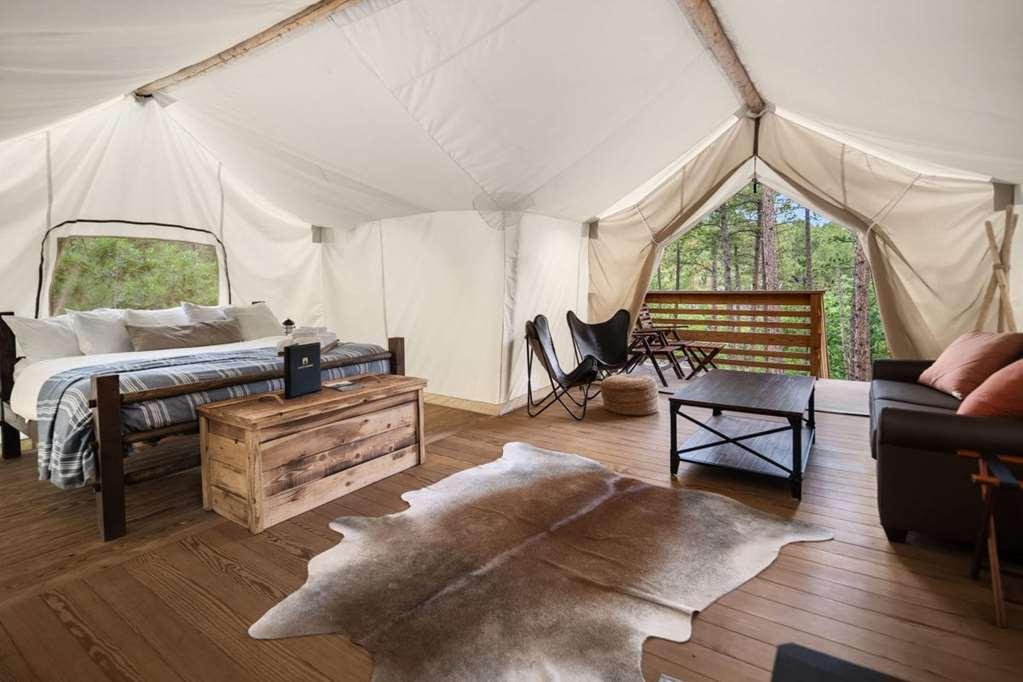 Under Canvas Acadia Surry Zimmer foto