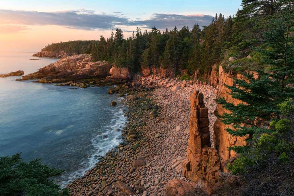 Under Canvas Acadia Surry Natur foto